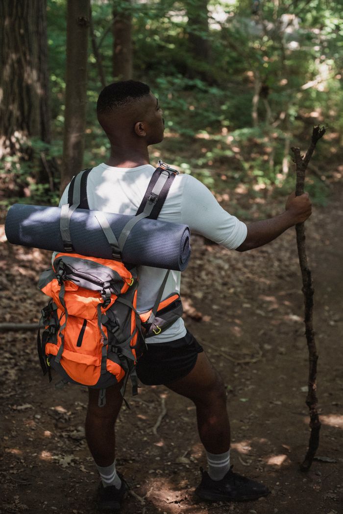 Back view of anonymous African American  traveler with backpack with hiking equipment walking with wooden stick among green trees in forest in daytime